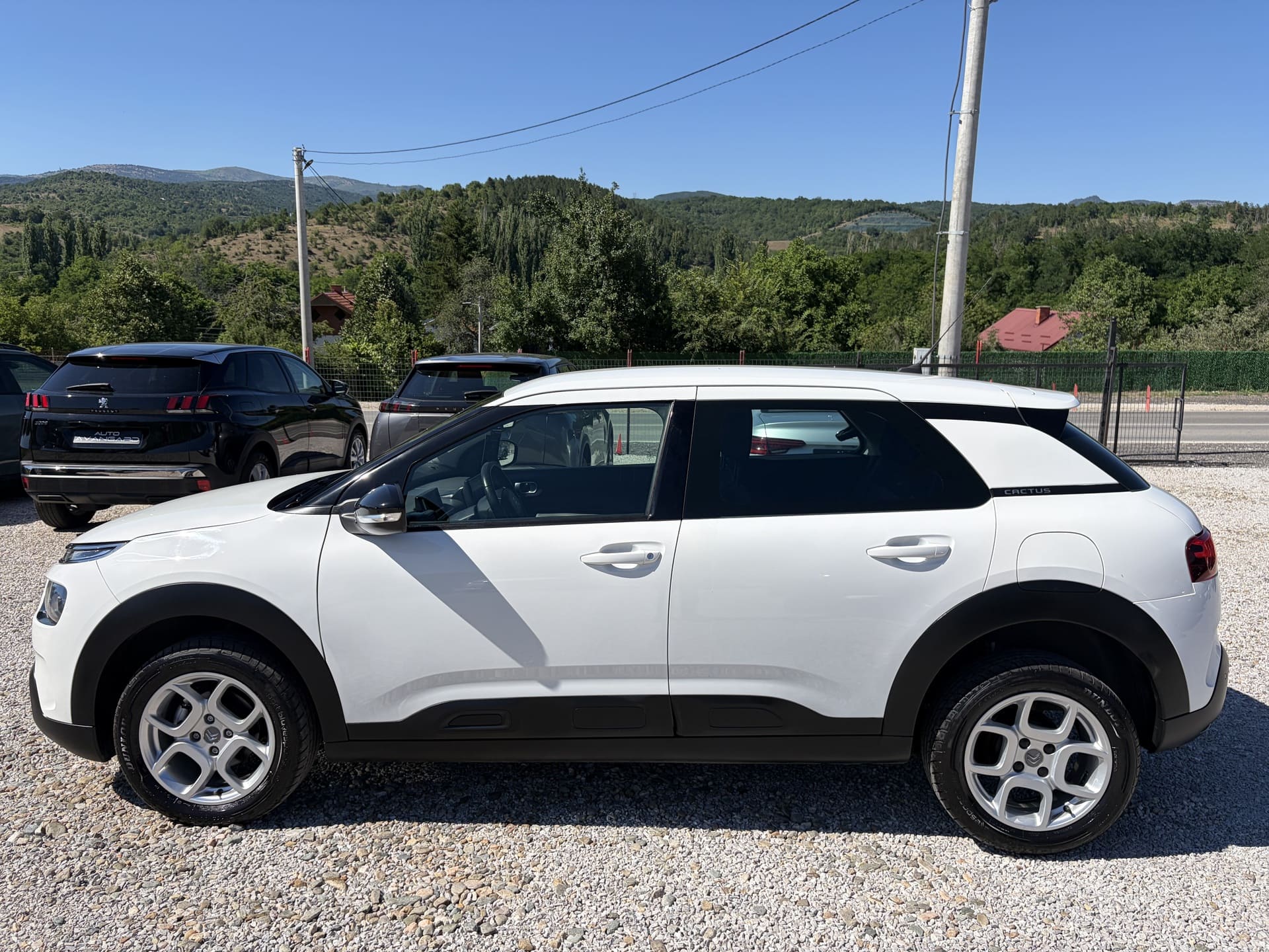 CITROEN C4 CACTUS 1.5 BLUEHDI 100KS 2019g