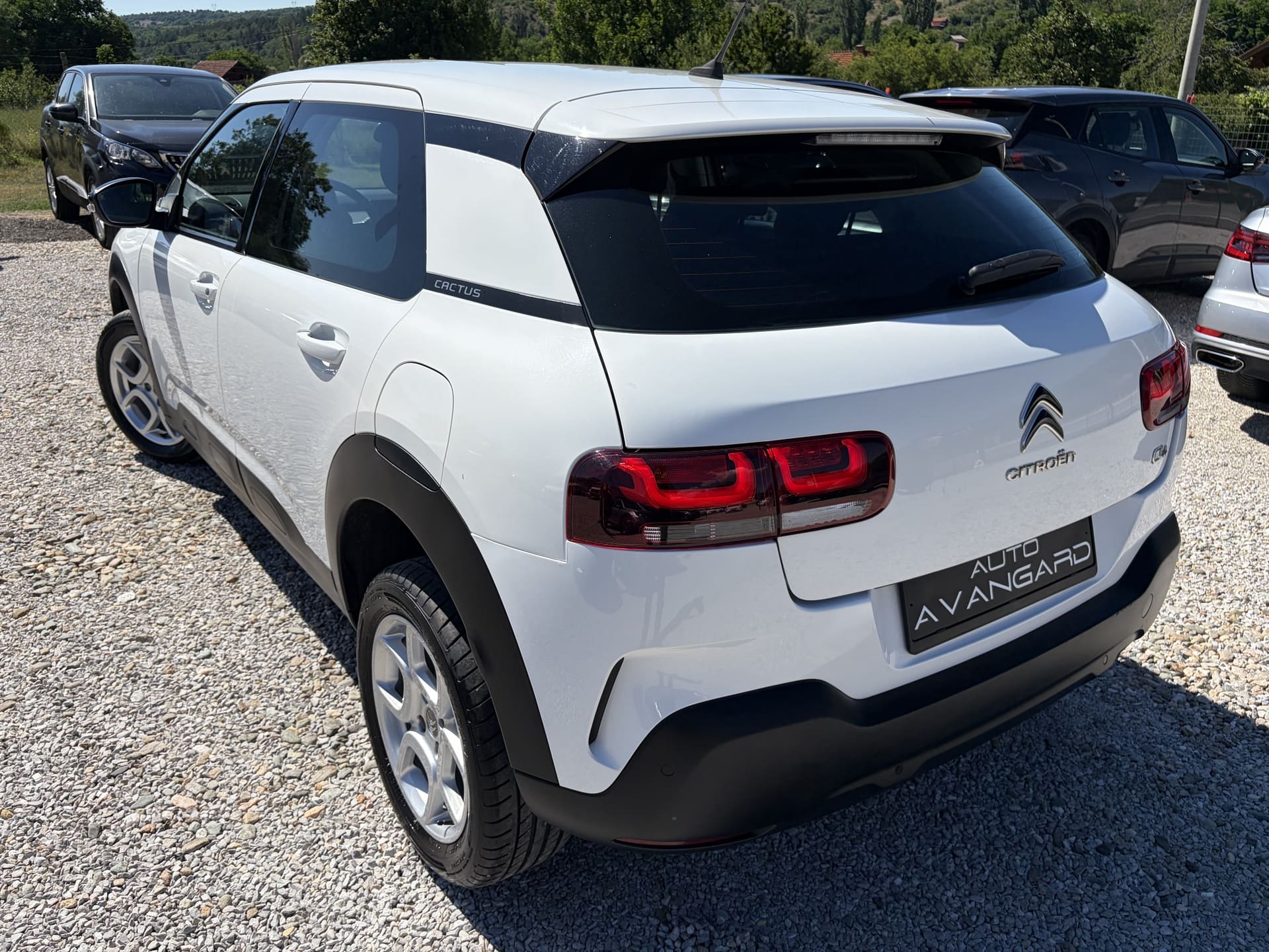 CITROEN C4 CACTUS 1.5 BLUEHDI 100KS 2019g