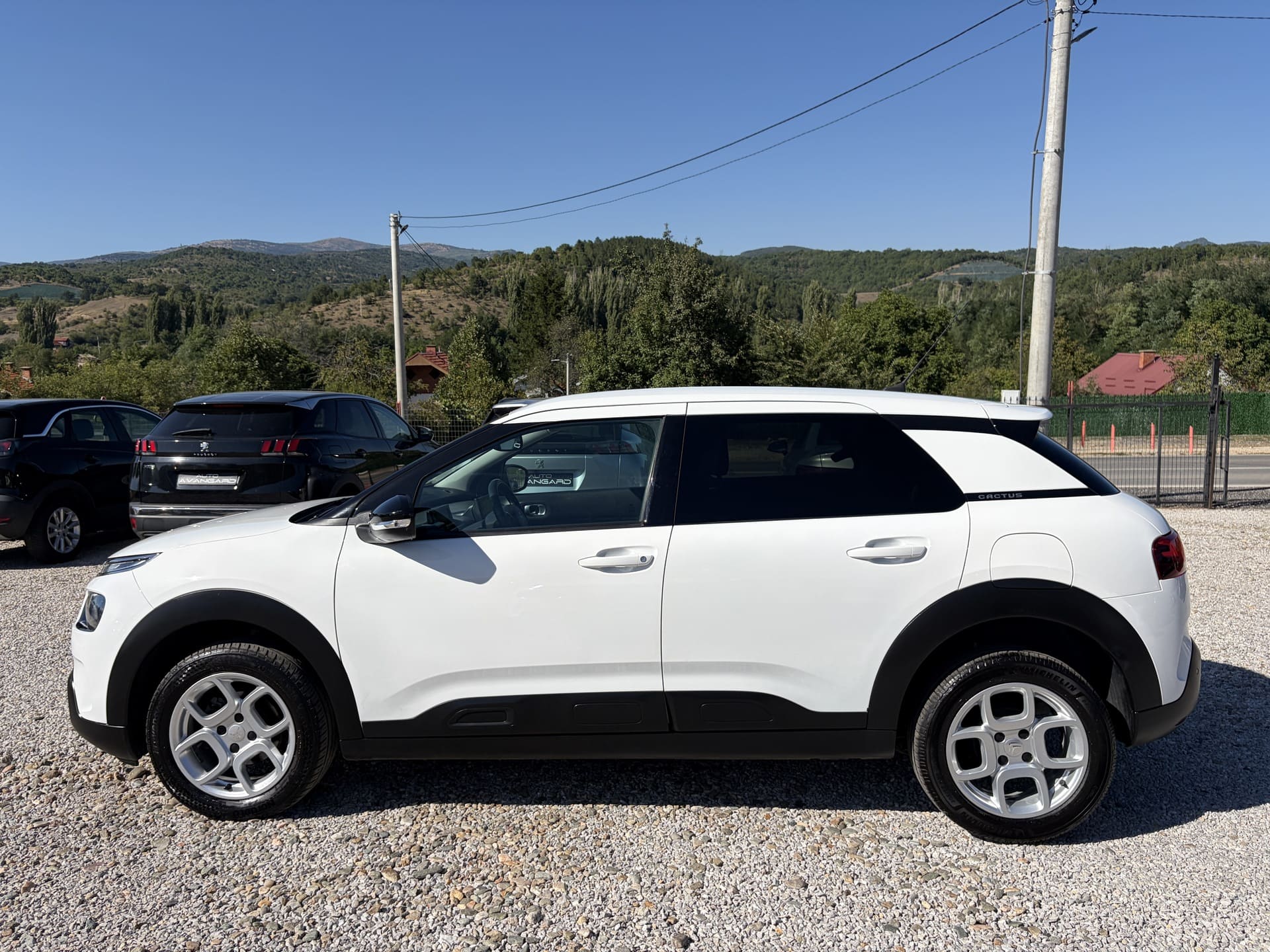 CITROEN C4 CACTUS 1.6 BLUEHDI 100KS 2019g
