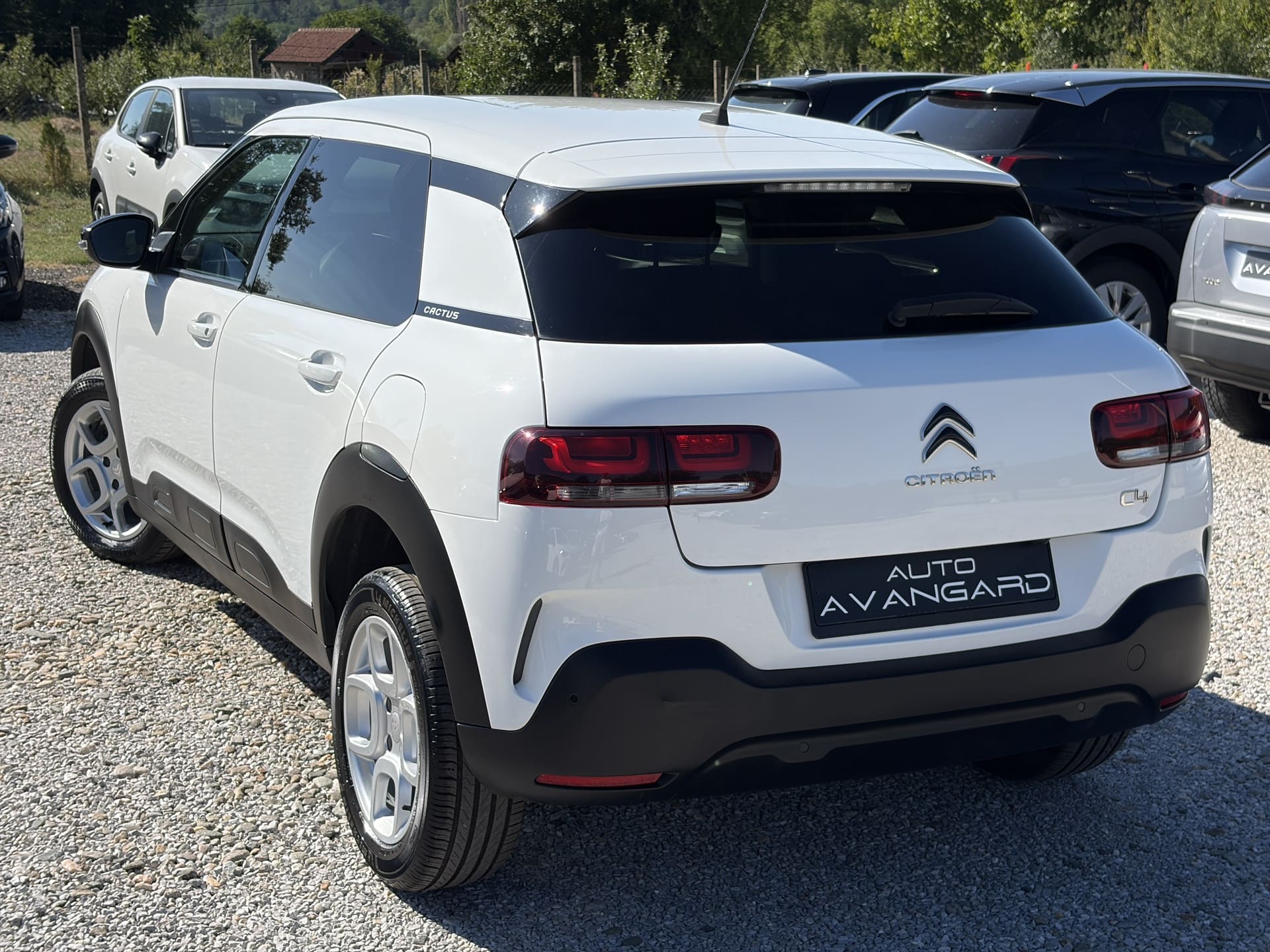 CITROEN C4 CACTUS 1.6 BLUEHDI 100KS 2019g